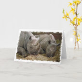 Slaapend Wenskaart Kaart (Gele Bloem)