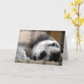 Slaapend Wenskaart Kaart (Gele Bloem)