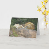 Slaapend Wenskaart Kaart (Gele Bloem)