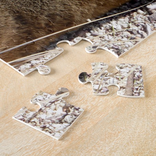 Slaapend Zee Lion Sluiten, Jigzaag Puzzle Legpuzzel (Zijkant)