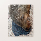 Slaapend Zee Lion Sluiten, Jigzaag Puzzle Legpuzzel (Verticaal)