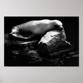 Slaapend Zee Lon .1781 Poster