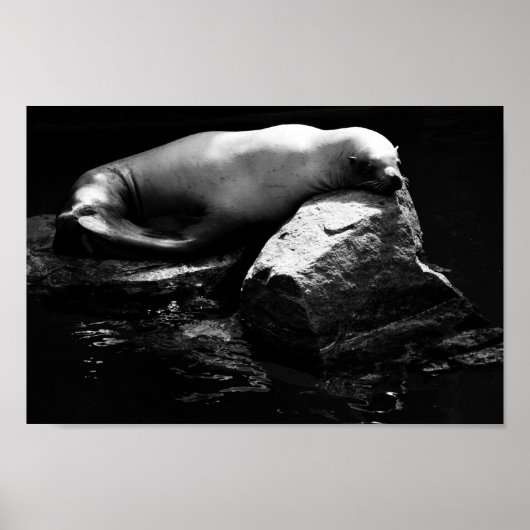 Slaapend Zee Lon .1781 Poster (Voorkant)