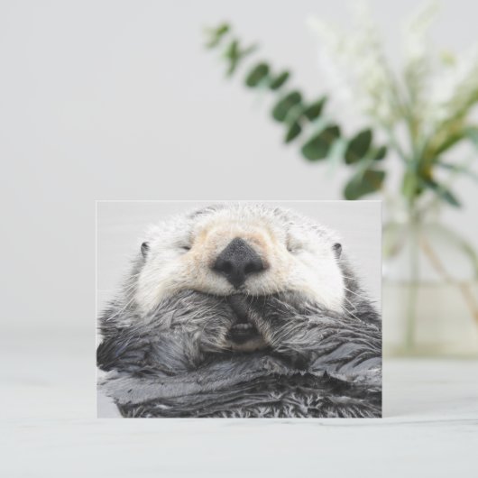 Slaapend Zee Otter Briefkaart (Staand voorkant)