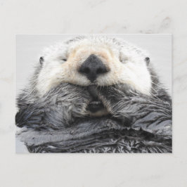 Slaapend Zee Otter Briefkaart