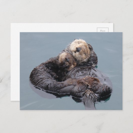 Slaapend zee otter moeder en pup briefkaart (Voorkant / Achterkant)