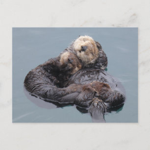 Slaapend zee otter moeder en pup briefkaart