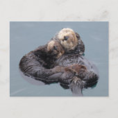 Slaapend zee otter moeder en pup briefkaart (Voorkant)