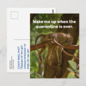 Slaapende aap wast me op als de quarantaine voorbi briefkaart (Voorkant / Achterkant)