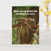 Slaapende aap: word wakker als de pandemie voorbij kaart (Gele Bloem)