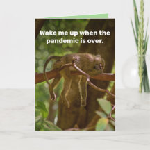 Slaapende aap: word wakker als de pandemie voorbij