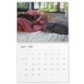 Slaapende Abyssische Kattenkalender - Extra groot Kalender (Mar 2026)