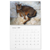 Slaapende Abyssische Kattenkalender - Extra groot Kalender (Jan 2027)
