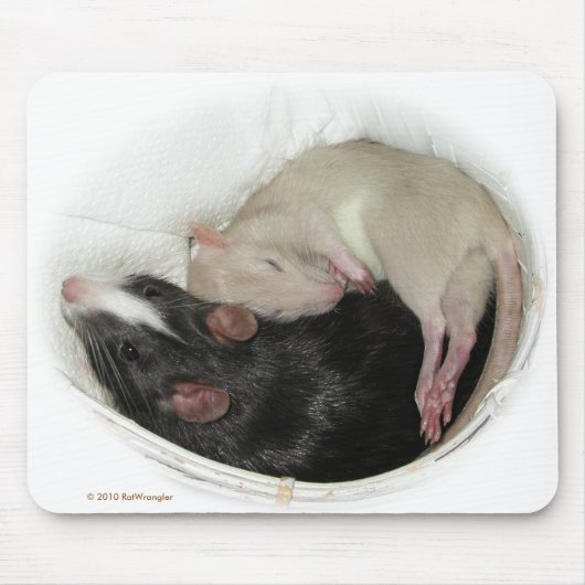 Slaapende baby rat muismat (Voorkant)