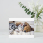 Slaapende bogen briefkaart (Staand voorkant)