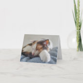 Slaapende Calico Cat Kaart (Voorkant)