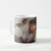 Slaapende Calico Cat Koffiemok (Voorkant links)