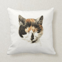 Slaapende Calico Cat