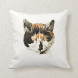 Slaapende Calico Cat Kussen