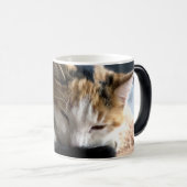 Slaapende Calico Cat Magische Mok (Voorkant rechts)