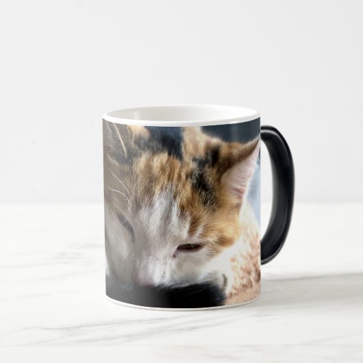 Slaapende Calico Cat Magische Mok (Voorkant rechts)