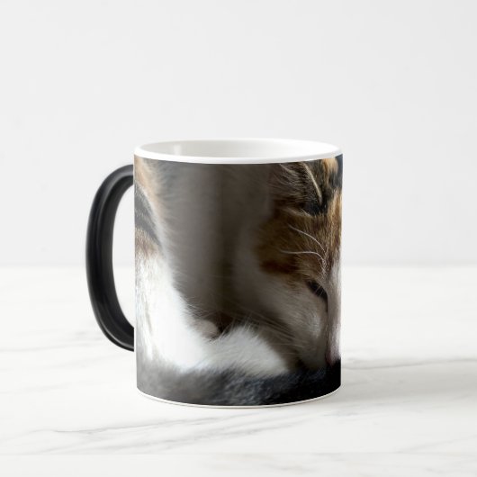 Slaapende Calico Cat Magische Mok (Voorkant links)