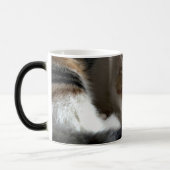 Slaapende Calico Cat Magische Mok (Links)