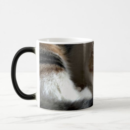 Slaapende Calico Cat Magische Mok (Links)