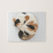 Slaapende Calico Cat Photo Puzzle and Gift Box Legpuzzel (Horizontaal)