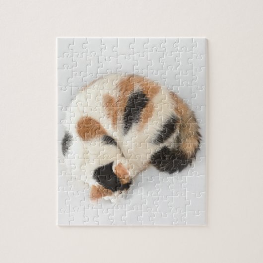 Slaapende Calico Cat Photo Puzzle and Gift Box Legpuzzel (Verticaal)