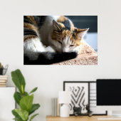 Slaapende Calico Cat Poster (Thuiskantoor)