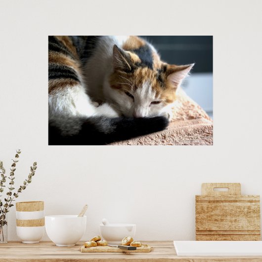 Slaapende Calico Cat Poster (Keuken)