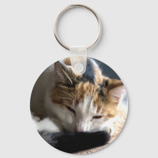 Slaapende Calico Cat Sleutelhanger (Voorkant)