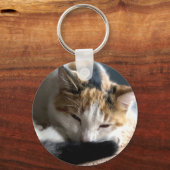 Slaapende Calico Cat Sleutelhanger (Voorkant)