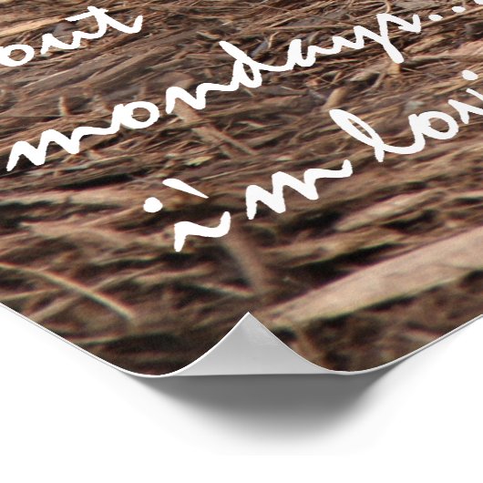 Slaapende Cheetah, waarom al die ophef over maanda Poster (Hoek)