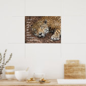 Slaapende Cheetah, waarom al die ophef over maanda Poster (Keuken)