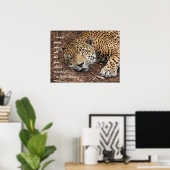 Slaapende Cheetah, waarom al die ophef over maanda Poster (Thuiskantoor)