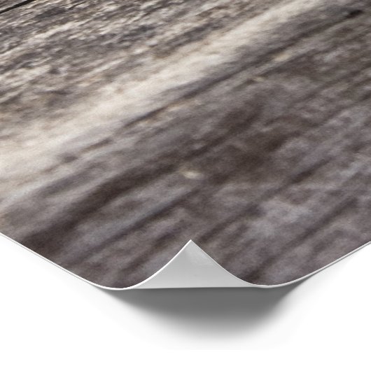 Slaapende Cretan-katten Poster (Hoek)