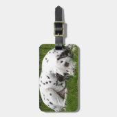 Slaapende Dalmation in het veld Bagagelabel (Voorkant verticaal)