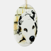 Slaapende Dalmatische Ornamenten (Rechts)