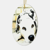 Slaapende Dalmatische Ornamenten (Links)