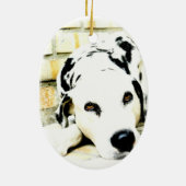 Slaapende Dalmatische Ornamenten (Achterkant)