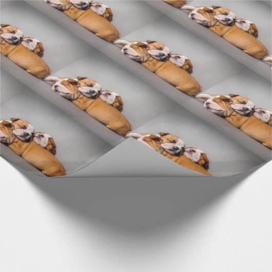 Slaapende Engelse bulldog Cadeaupapier (Hoek)