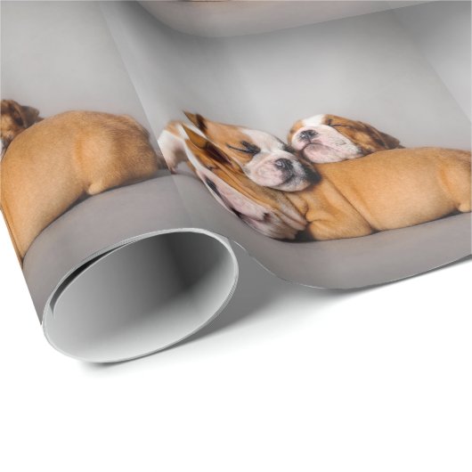Slaapende Engelse bulldog Cadeaupapier (Rol Hoek)