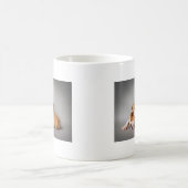 Slaapende Engelse bulldog Koffiemok (Center)