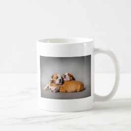Slaapende Engelse bulldog Koffiemok