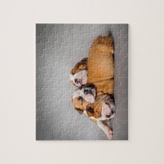 Slaapende Engelse bulldog Legpuzzel (Verticaal)