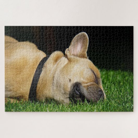 Slaapende Franse stierenhond Legpuzzel (Horizontaal)