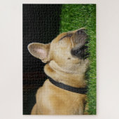 Slaapende Franse stierenhond Legpuzzel (Verticaal)