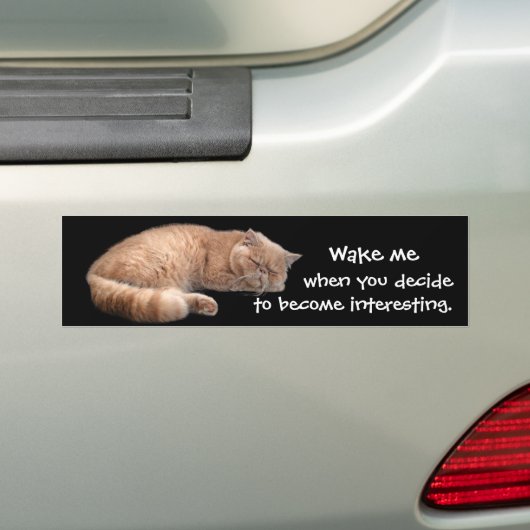 Slaapende Ginger Cat Funny Wake' Quote Bumpersticker (Op auto)